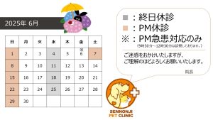 【重要】6月の診察に関して